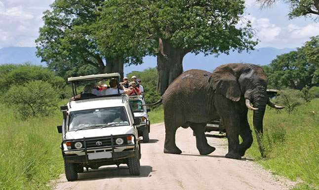 Self Drive Safaris Uganda - Car Rental Services