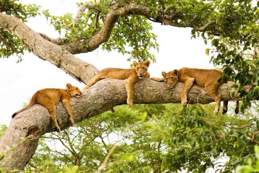 Self Drive Safaris Uganda - Destinations To Visit In Uganda