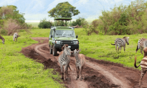 How To Visit Lake Mburo National Park On A Self Drive Safari