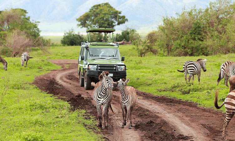 How To Visit Lake Mburo National Park On A Self Drive Safari