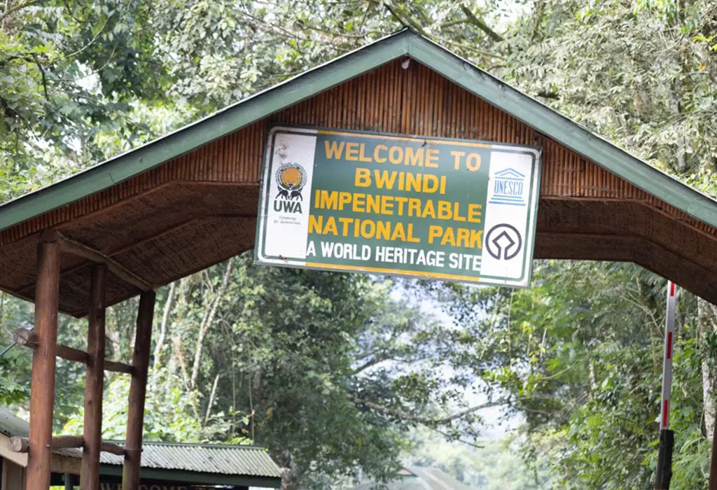 Bwindi Impenetrable National Park