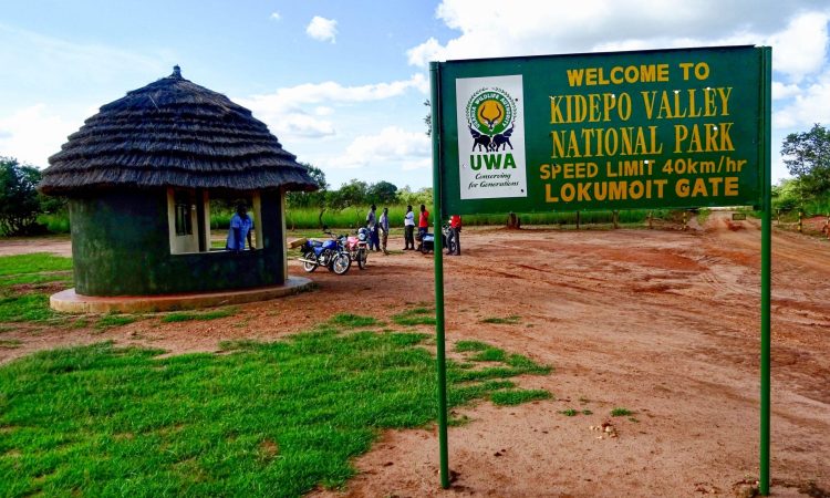 Kidepo Valley National Park - Self Drive Safaris Uganda