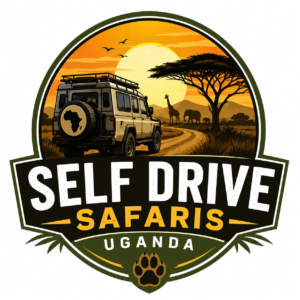 Self Drive Safaris Uganda | 4x4 Car Rental Uganda & Tours