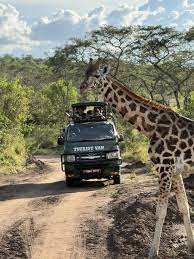 Entebbe To Murchison Falls Self Drive Route