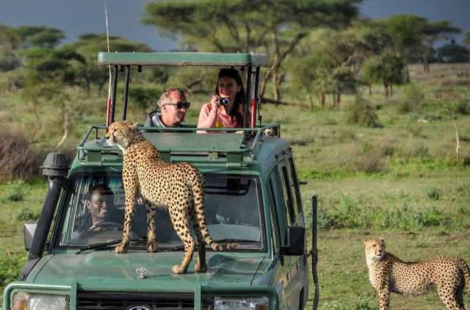 Self Drive Safaris Uganda - Self Drive Uganda
