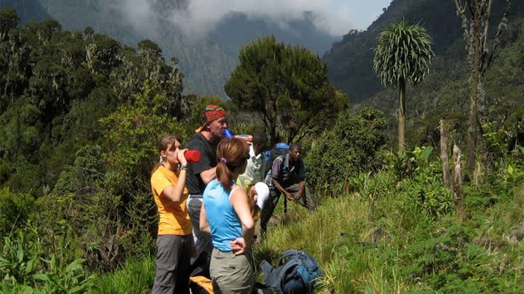 Rwenzori Mountains National Park - Self Drive Safaris Uganda