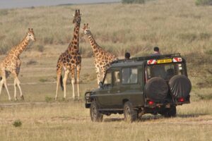 Driving To Kidepo Valley National Park: What You Need To Know