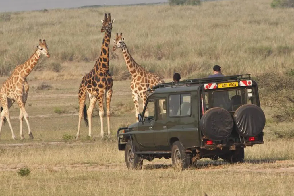 Cheap Car Rental Uganda – Affordable 4x4 Safari Cars