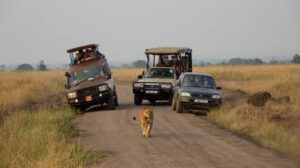 Self Drive Safaris Uganda - Rent a 4x4 In Uganda For Self Drive Safari