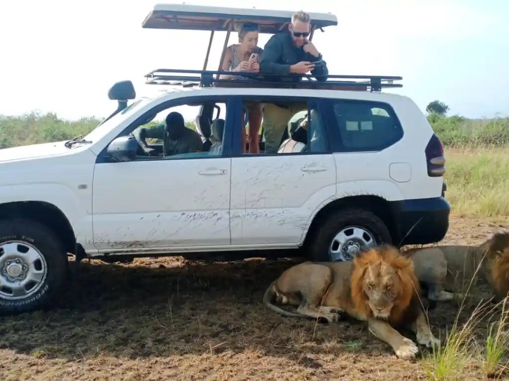 Self Drive Safaris Uganda - How Much Does It Cost To Rent a 4x4 in Uganda?